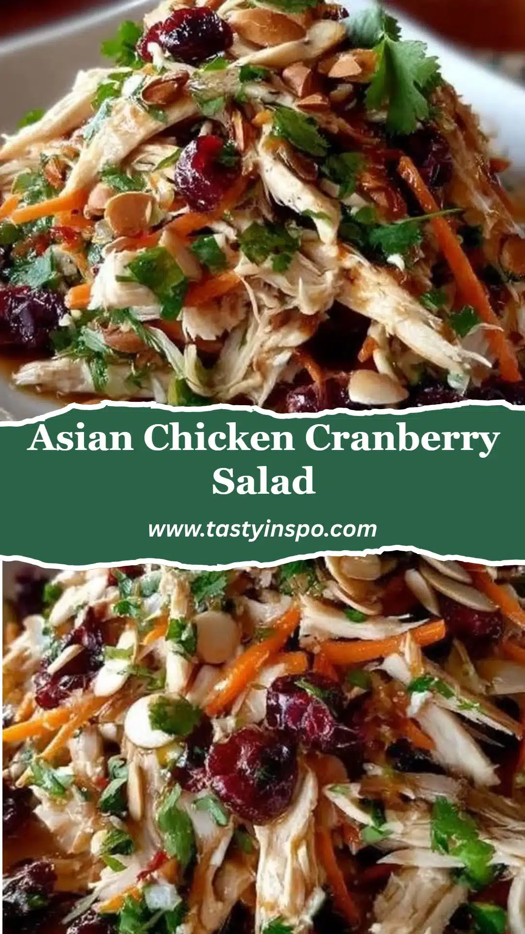 Asian Chicken Cranberry Salad