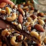 Dark Chocolate and Sea Salt Nut Bars (Easy No-Bake) 4 dark chocolate and sea salt nut bars 2026 02 20 163539 1024x574 1