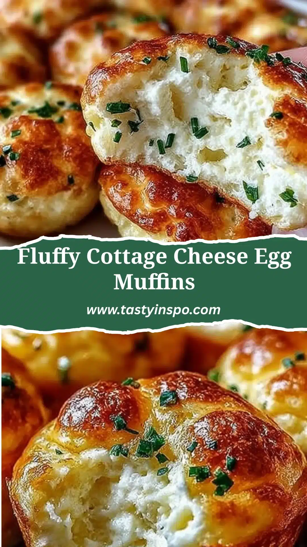 Fluffy Cottage Cheese Egg Muffins (Easy Breakfast) 3 Fluffy Cottage Cheese Egg Muffins