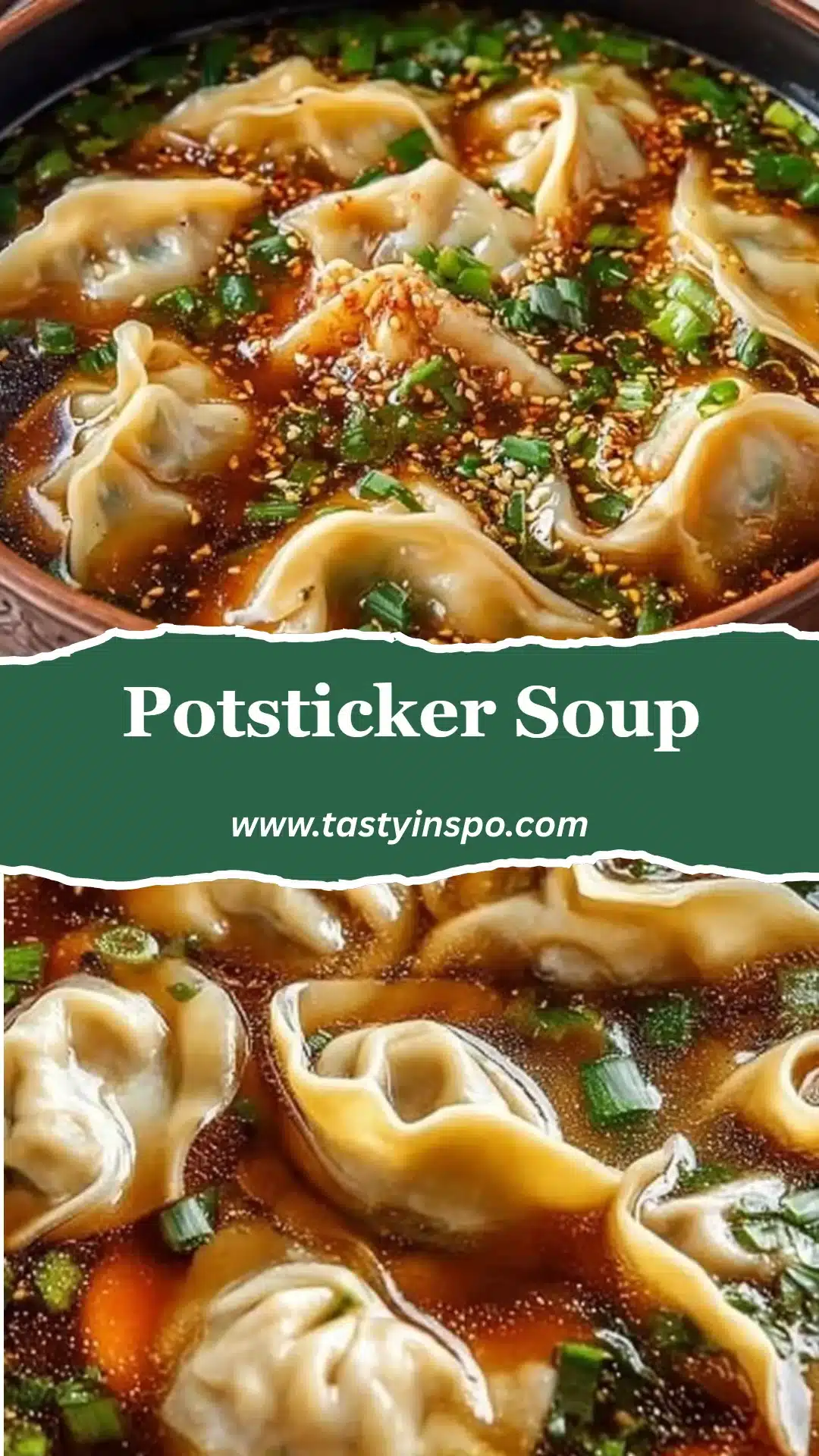 Potsticker Soup