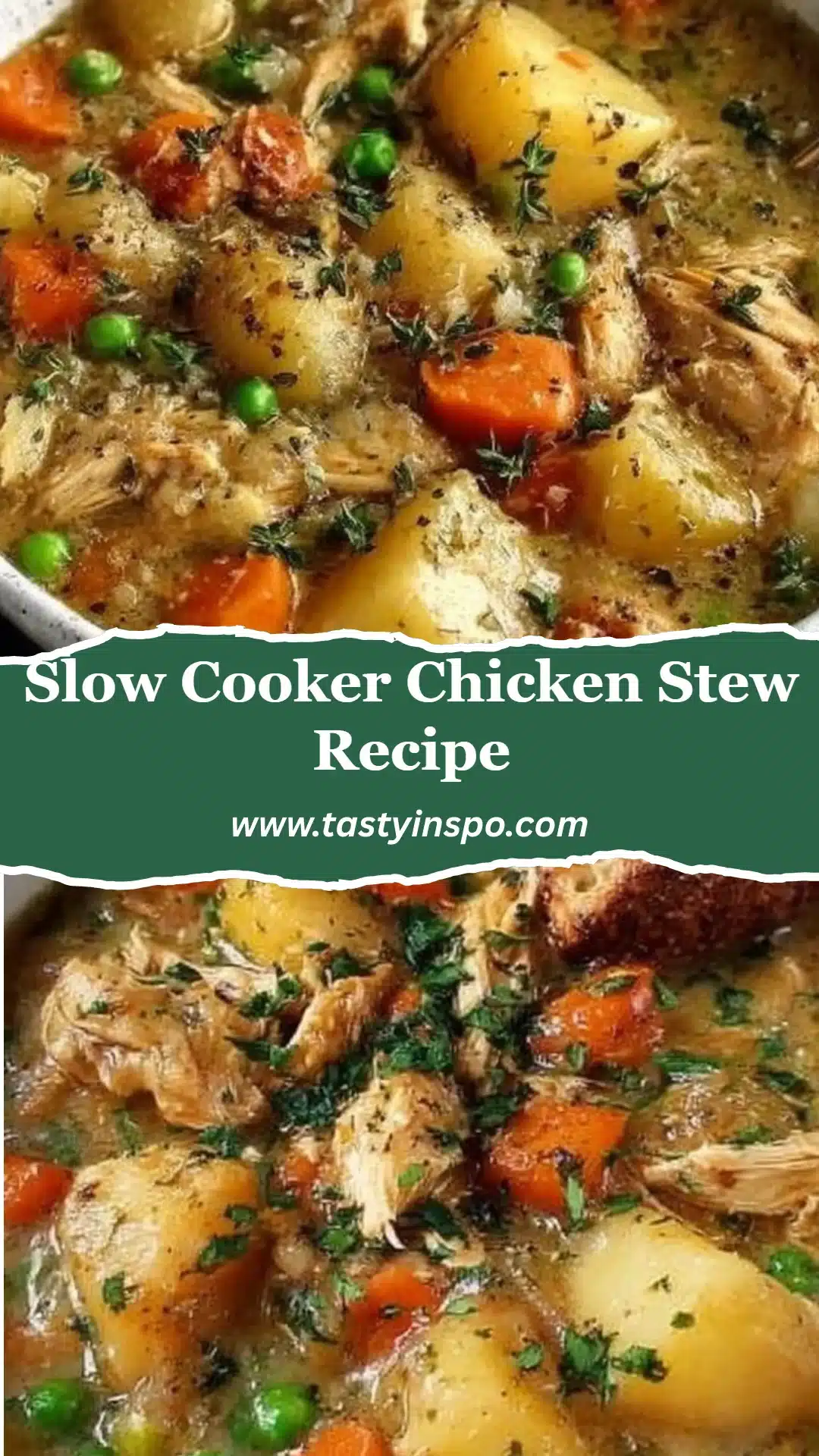 Slow Cooker Chicken Stew Recipe