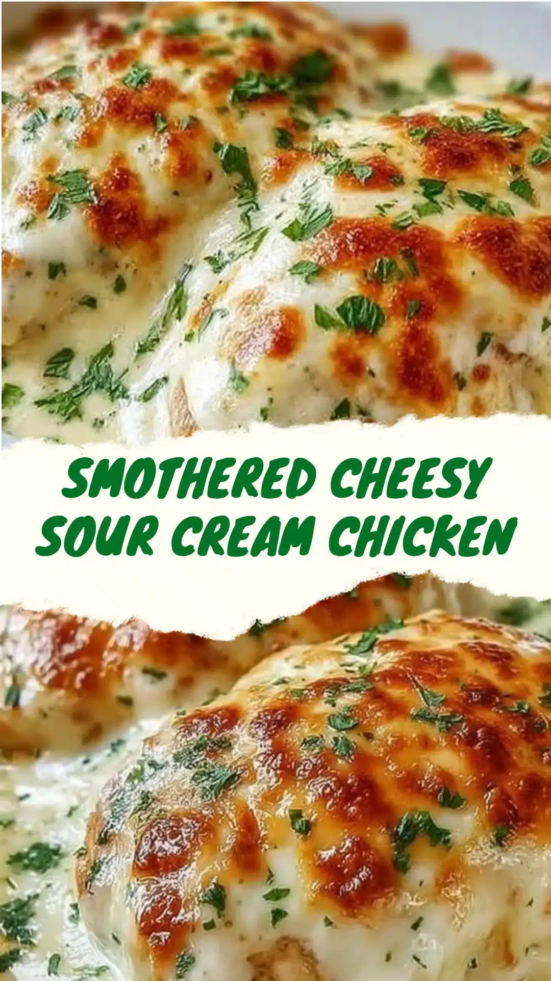 Smothered Cheesy Sour Cream Chicken