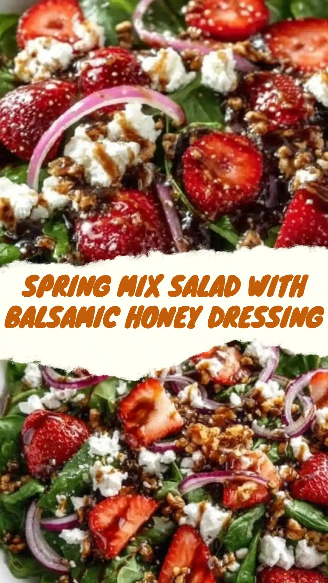 Spring Mix Salad with Balsamic Honey Dressing