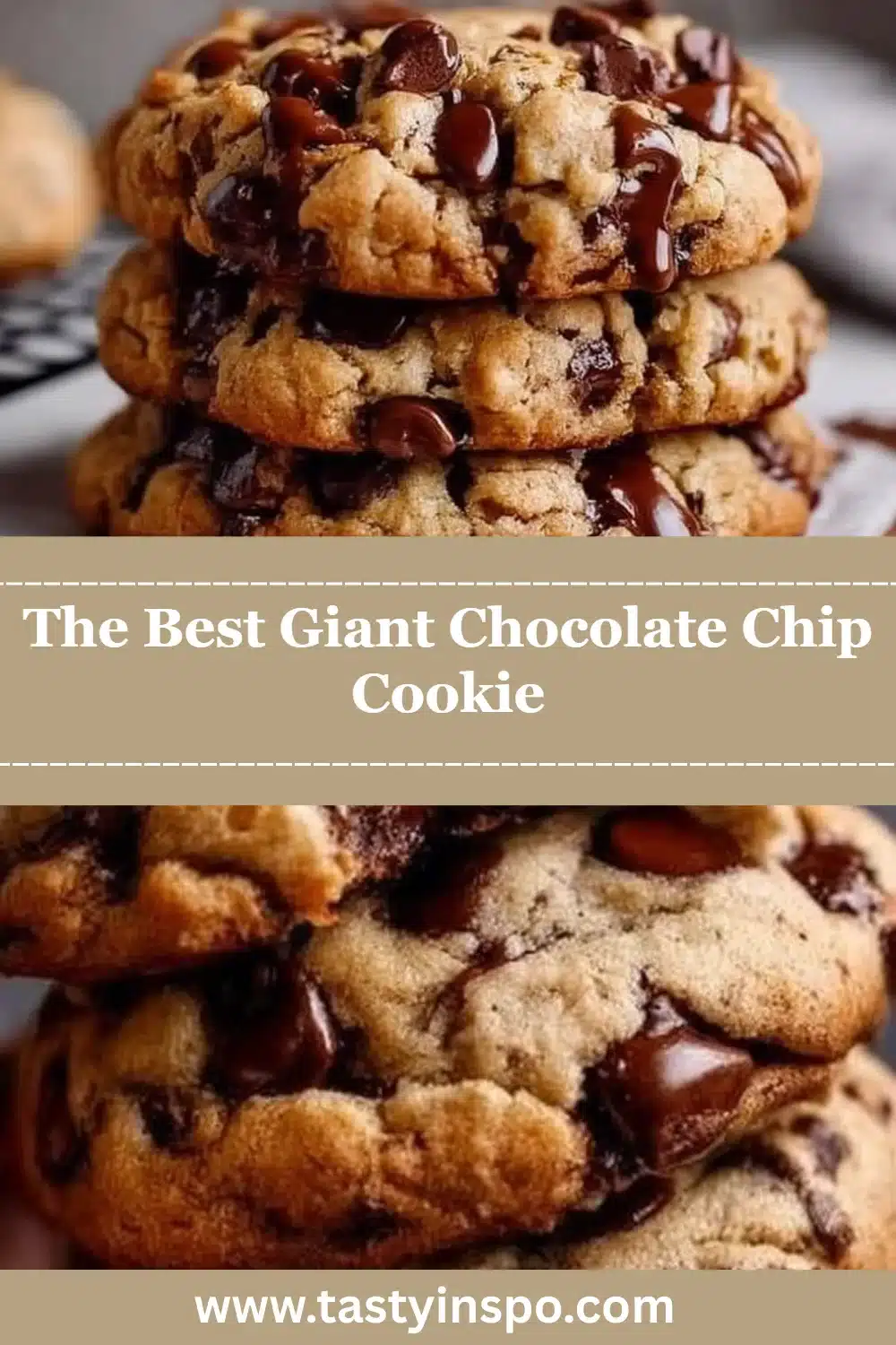 The Best Giant Chocolate Chip Cookie