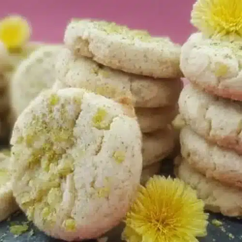 Best Dandelion Cookies Recipe for Spring Baking and Garden Gatherings 3 dandelion cookies 2026 05 07 122846 1024x574 1