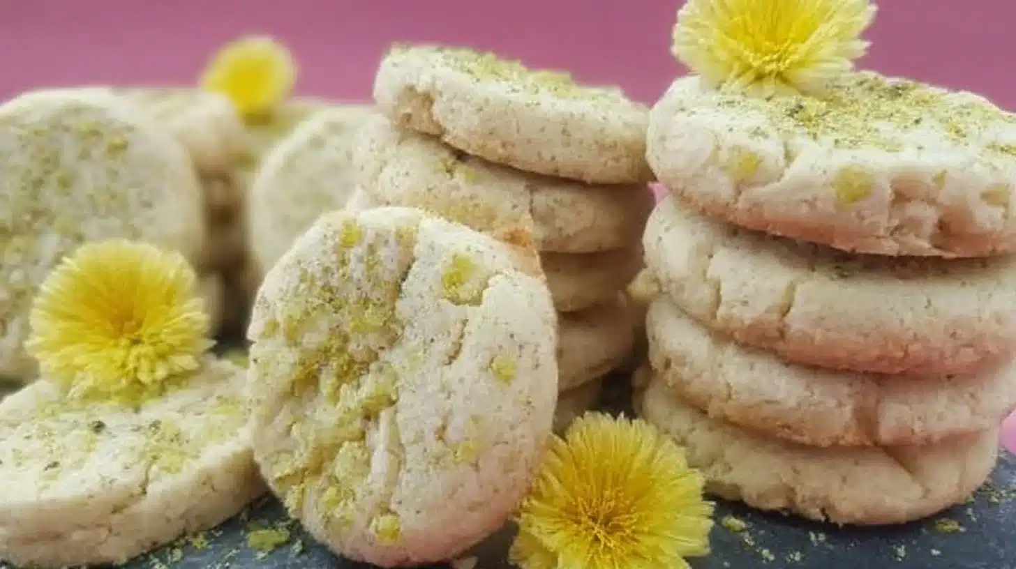 Best Dandelion Cookies Recipe for Spring Baking and Garden Gatherings 1 Plate of homemade Dandelion Cookies with fresh dandelion blooms