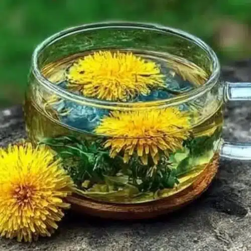 dandelion tea 2026 05 07 122845 1024x574 1