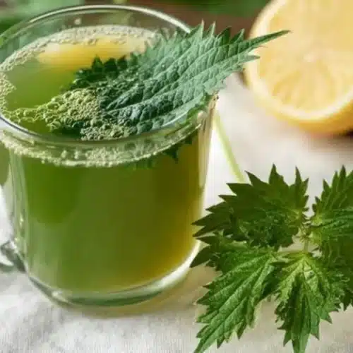 nettle leaf energy tea 2026 05 07 122853 1024x574 1